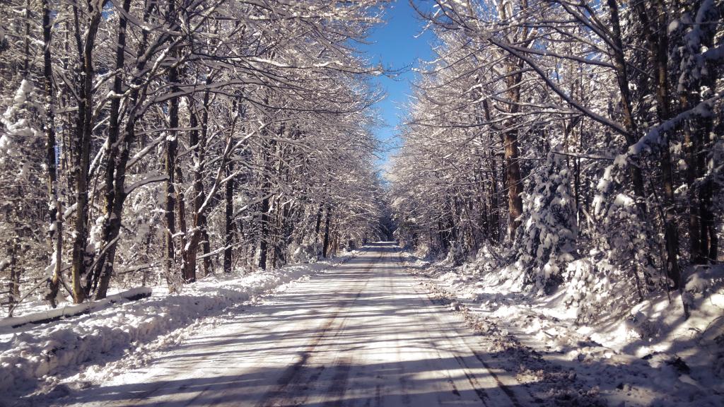 Photo: Winters Day
