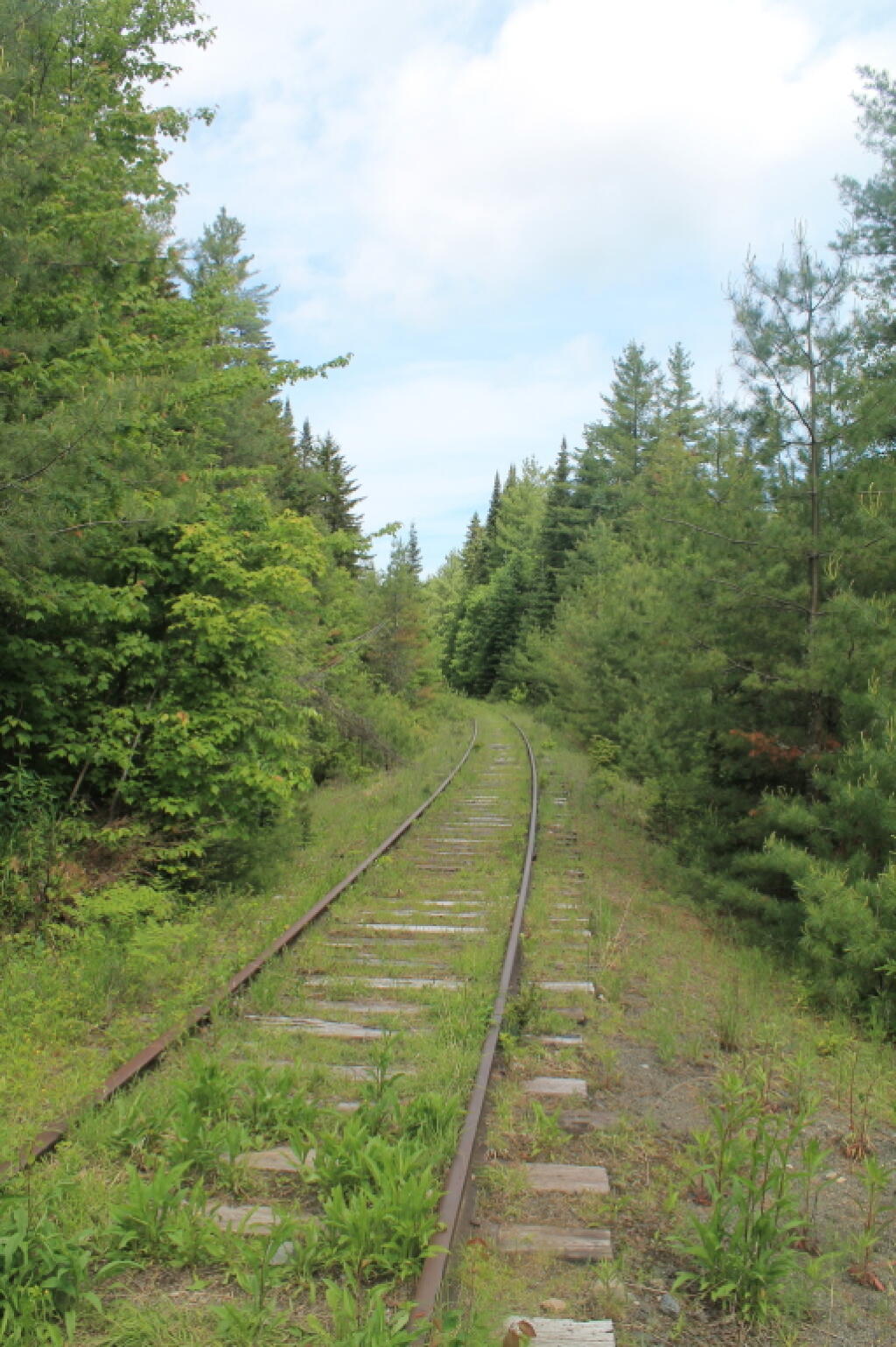 Photo: Tracks Photo: Tracks
