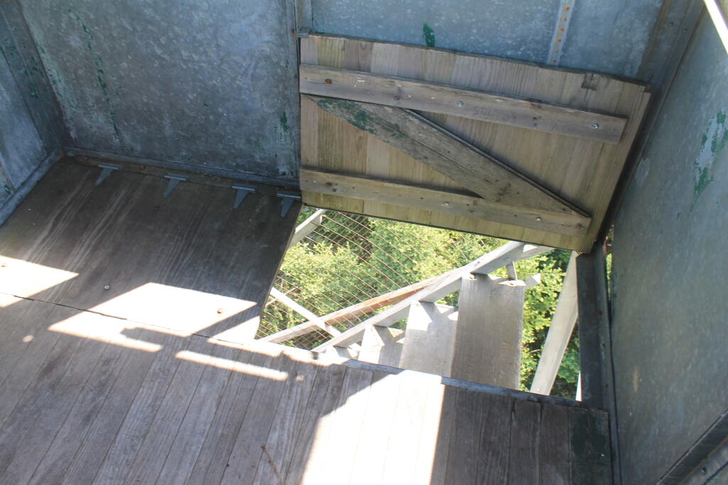 Photo: Tower Stairs Photo: Tower Stairs