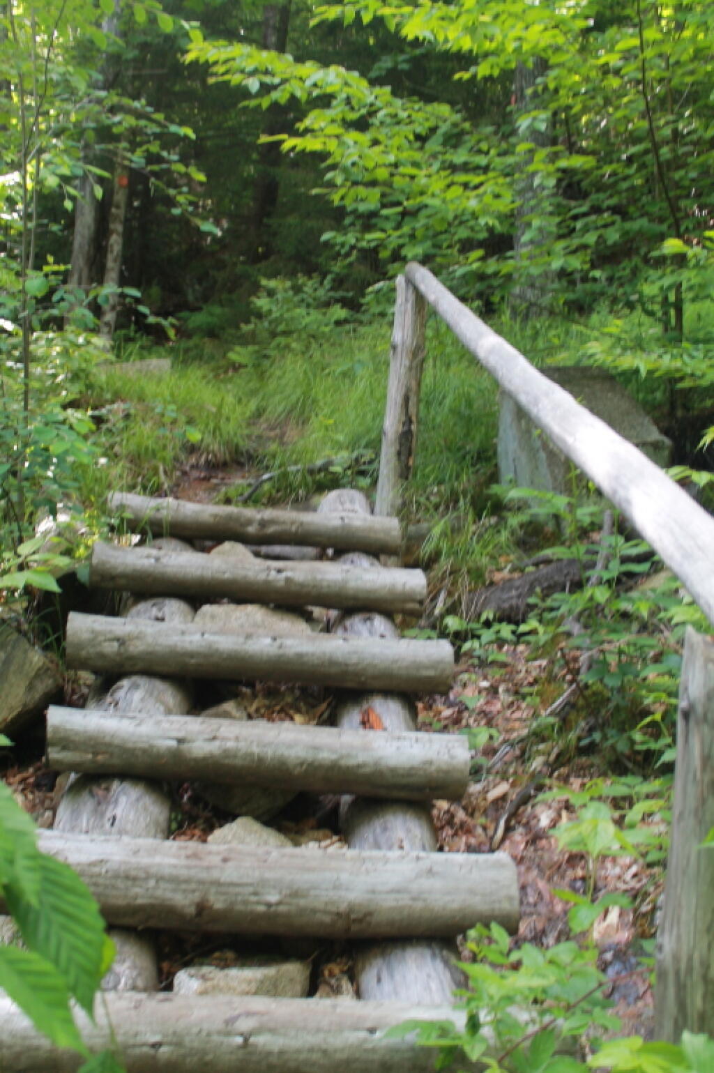 Photo: Stairs Photo: Stairs