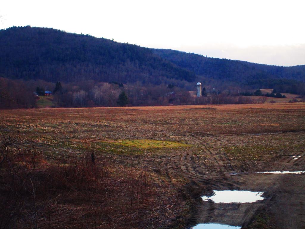 Photo: Field Along the Batten Kill Photo: Field Along the Batten Kill
