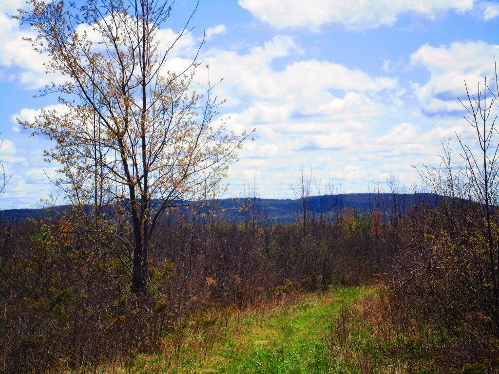 Photo: Beautiful Spring Day