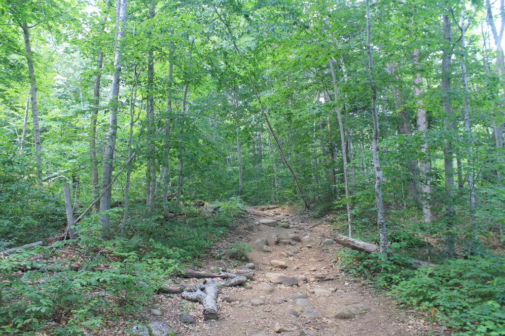 Photo: Heading Up to Echo Cliffs Photo: Heading Up to Echo Cliffs