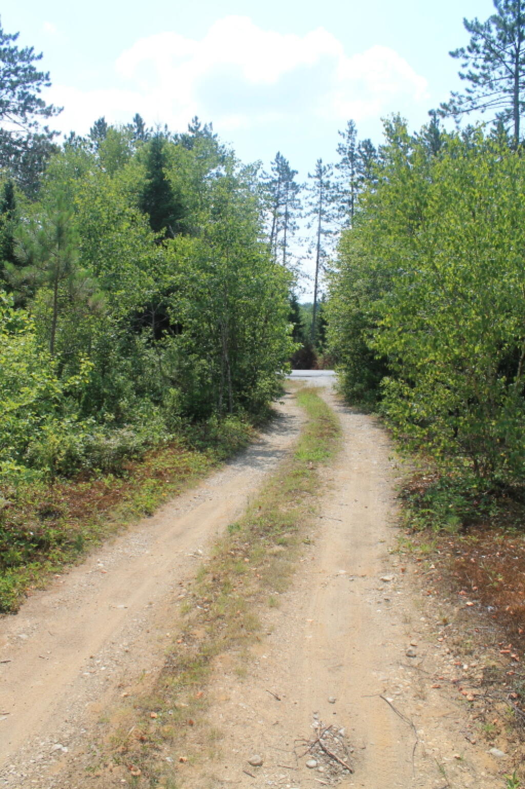 Photo: Driveway Out to NY 8 Photo: Driveway Out to NY 8