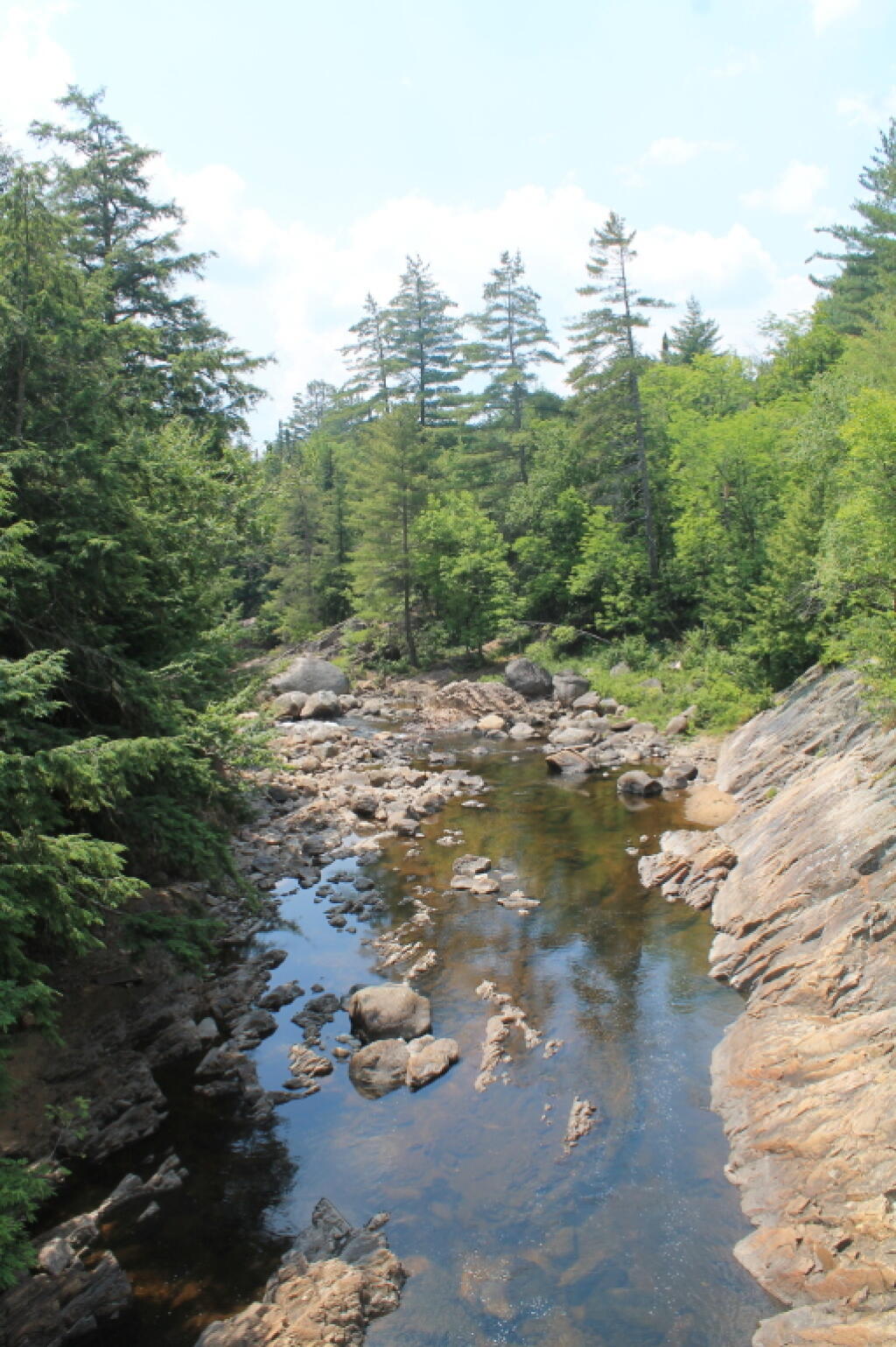 Photo: Griffin Rapids