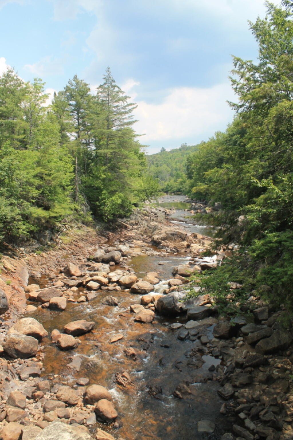 Photo: East Branch from Griffin Bridge Photo: East Branch from Griffin Bridge