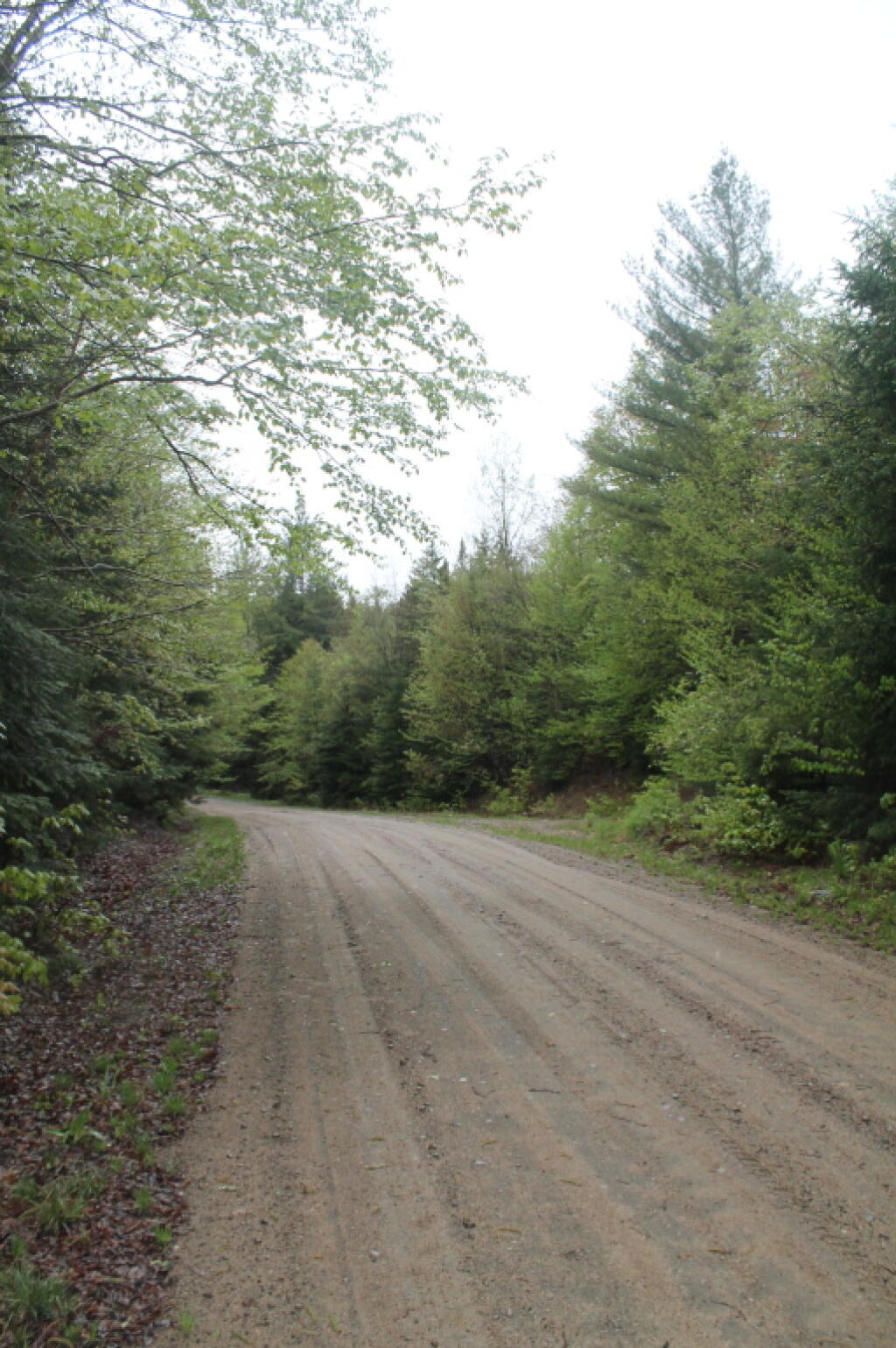 Photo: Cedar River-Limekiln Road Looks Nice and Smooth for Now Photo: Cedar River-Limekiln Road Looks Nice and Smooth for Now