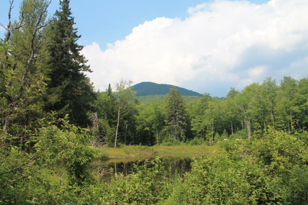 Photo: Buck Pond Mountain Photo: Buck Pond Mountain
