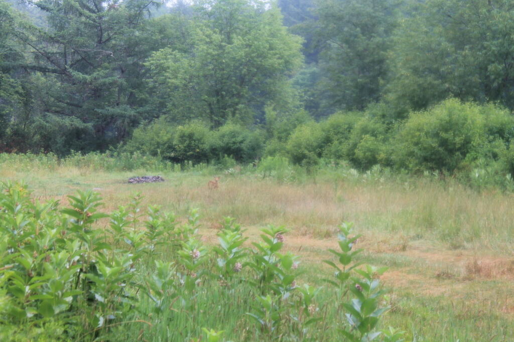 Photo: Field Campsite Photo: Field Campsite