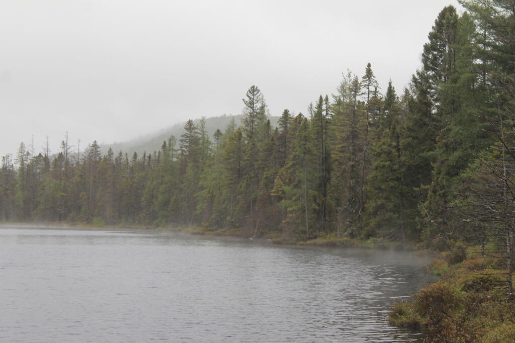 Photo: Fog Rises Photo: Fog Rises