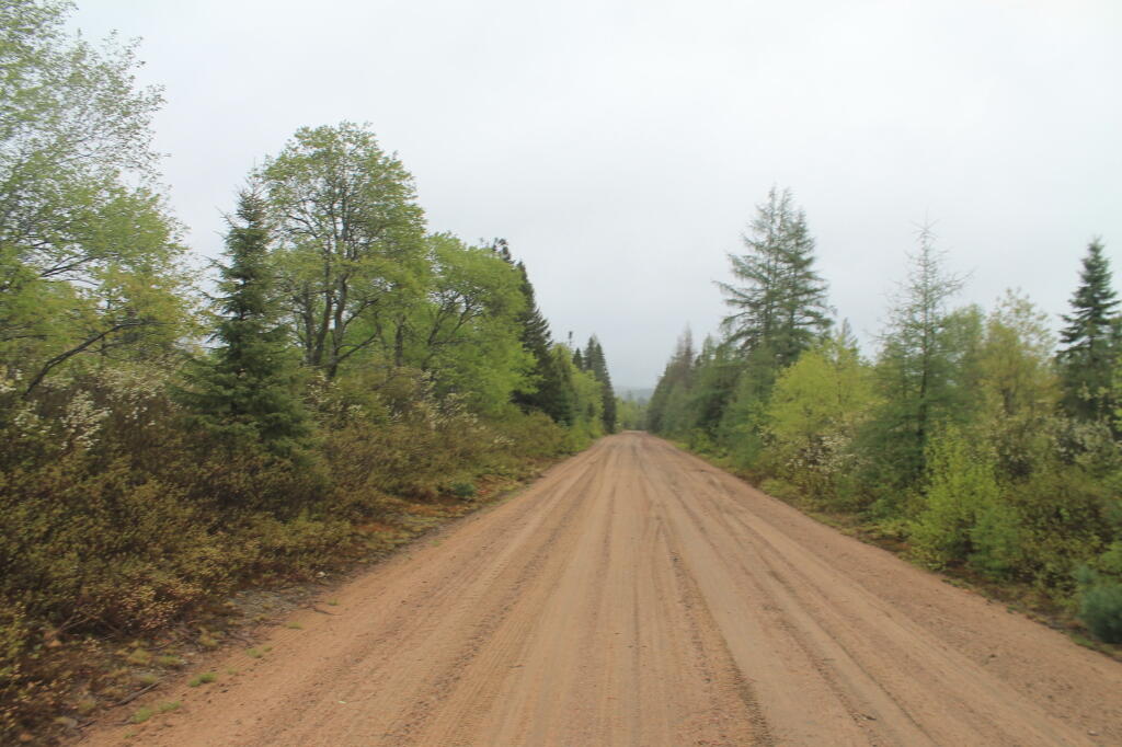 Photo: Cedar River-Limekiln Lake Road Near Helldiver Pond Photo: Cedar River-Limekiln Lake Road Near Helldiver Pond