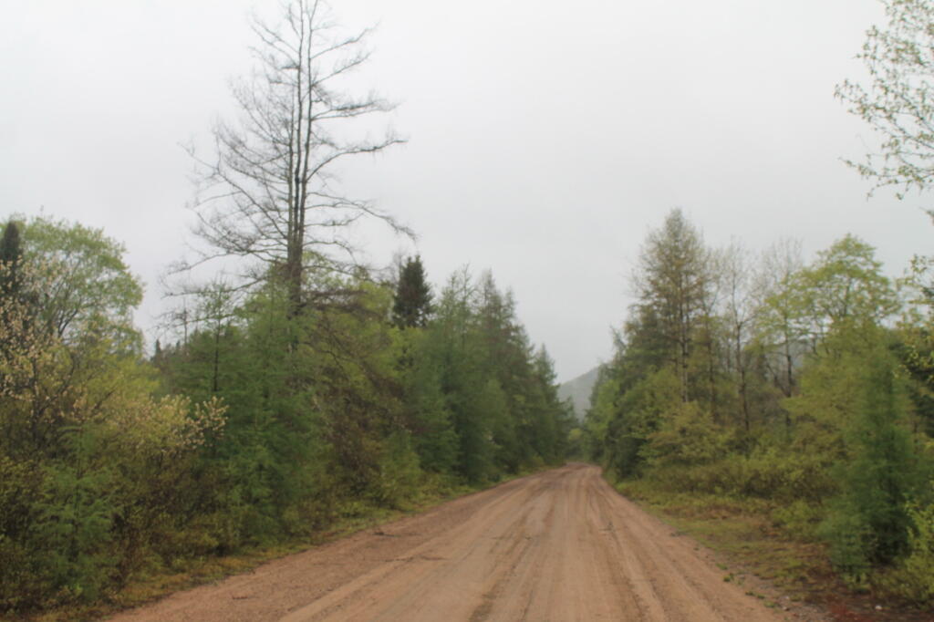 Photo: When Cedar River-Limekiln Lake Road Was Smooth Photo: When Cedar River-Limekiln Lake Road Was Smooth