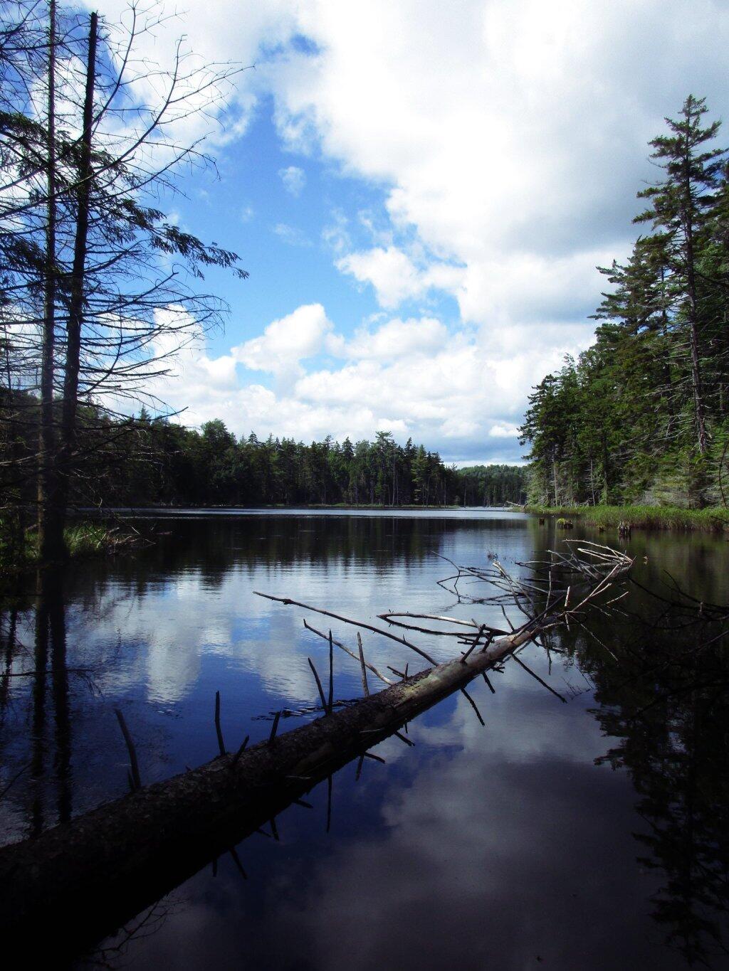 Photo: Chain Ponds Photo: Chain Ponds