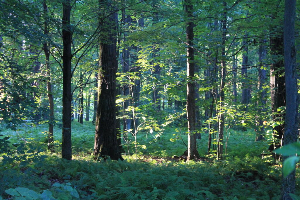 Photo: Morning's First Light Photo: Morning's First Light