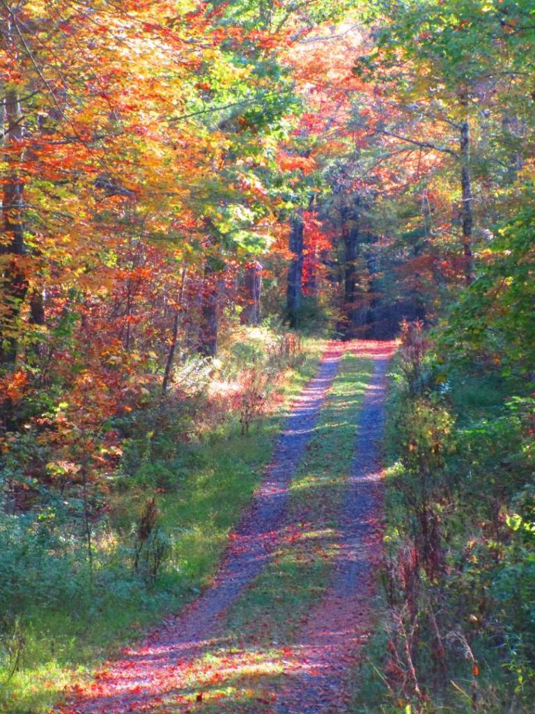 Photo: Beebe Hill Road