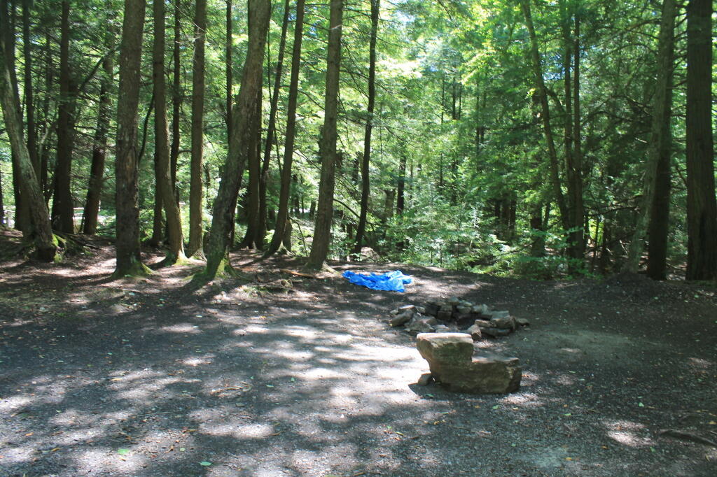 Photo: Tionesta Creek Campsite Photo: Tionesta Creek Campsite