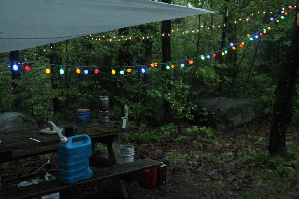 Photo: Festive in the Rain Photo: Festive in the Rain