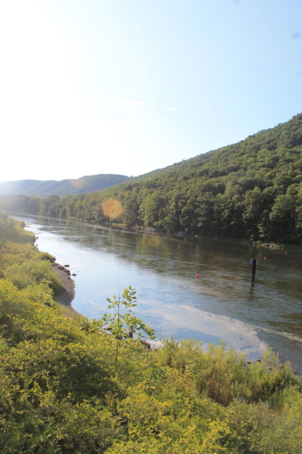 Photo: Allegheny River Photo: Allegheny River