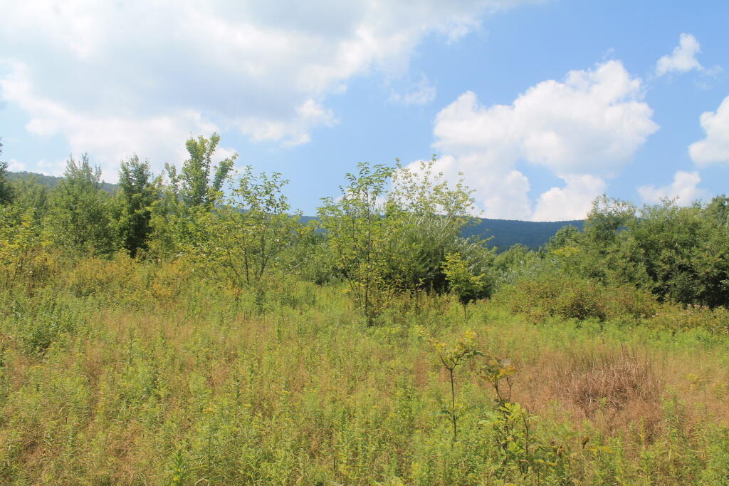 Photo: Starting Up Bear Pen Mountain Photo: Starting Up Bear Pen Mountain
