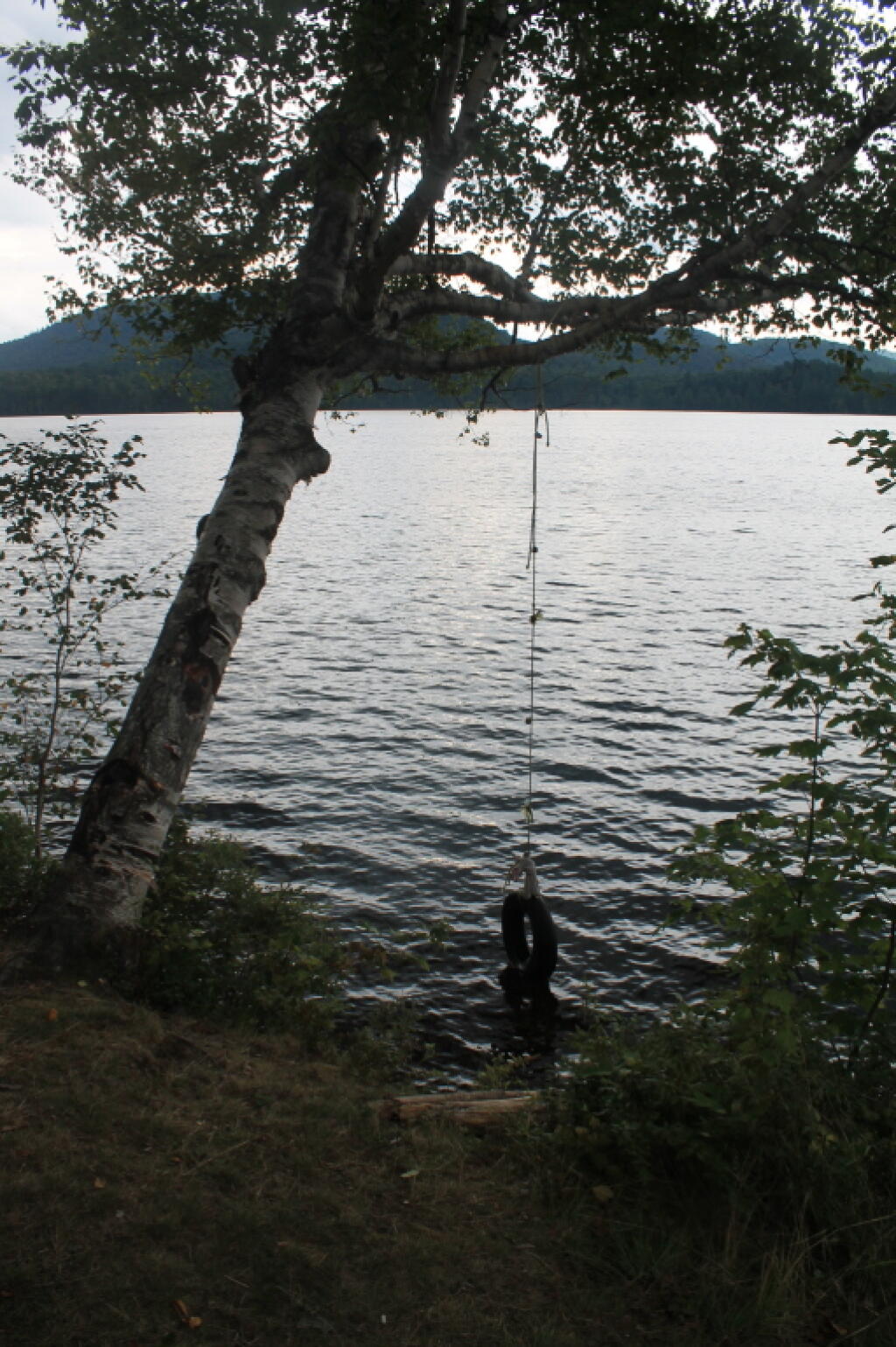 Photo: Tire Swing Photo: Tire Swing