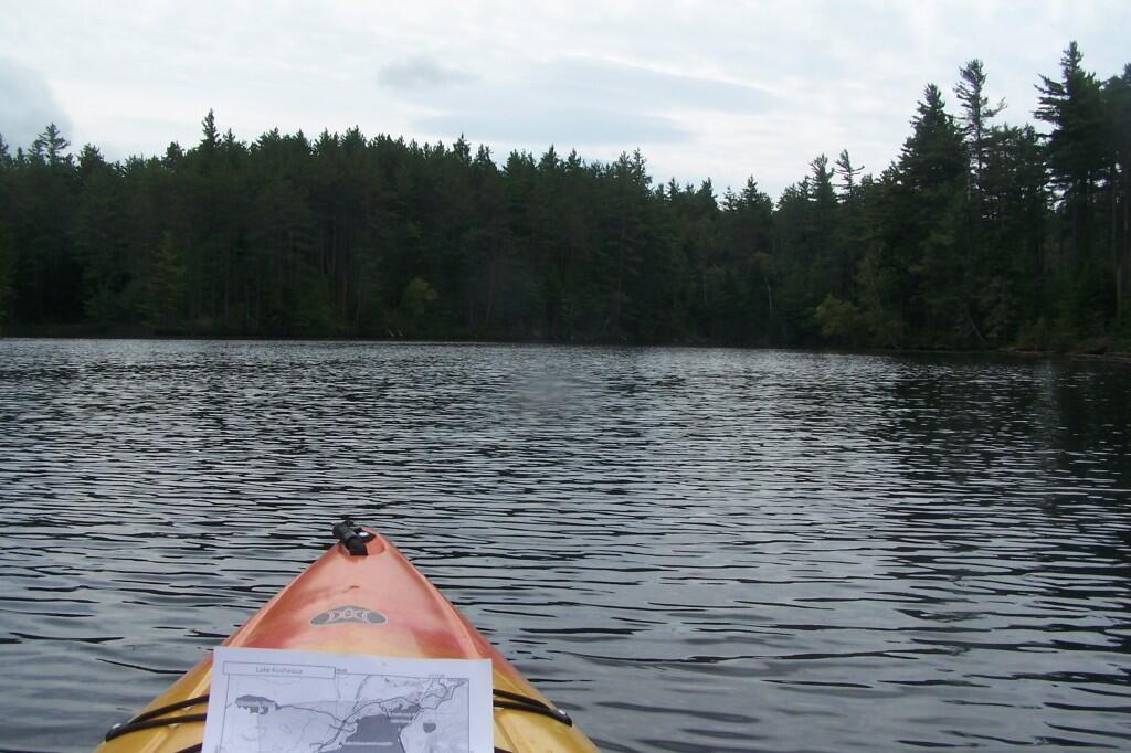 Photo: In the Narrows Photo: In the Narrows