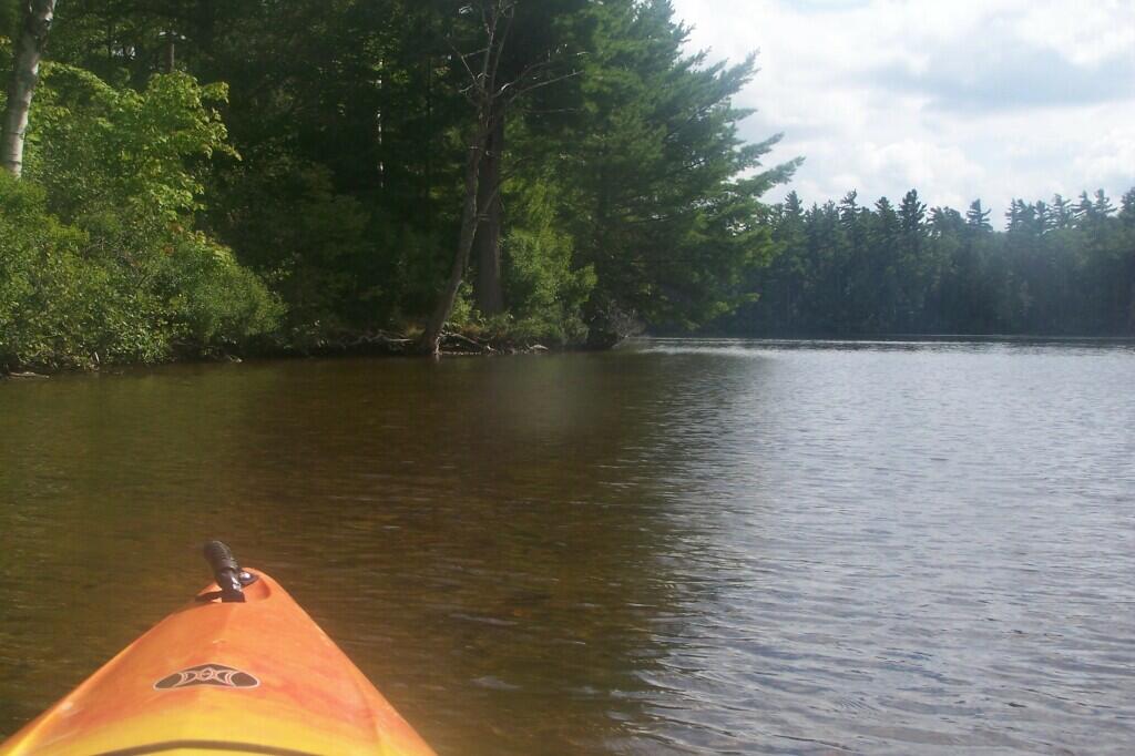 Photo: Back to Shore Photo: Back to Shore