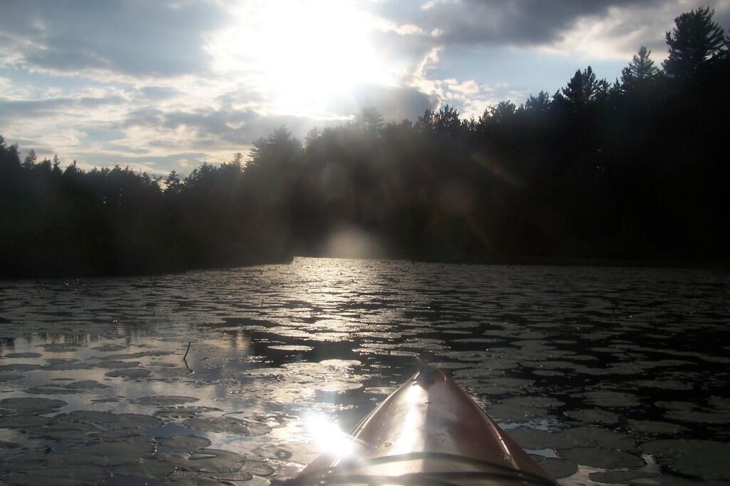 Photo: Sparkling Lilly Pads Photo: Sparkling Lilly Pads