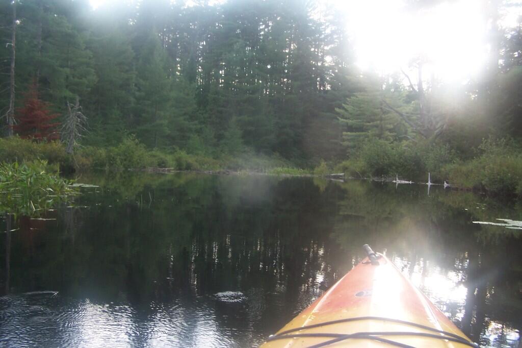 Photo: Beaver Dam Ahead Photo: Beaver Dam Ahead