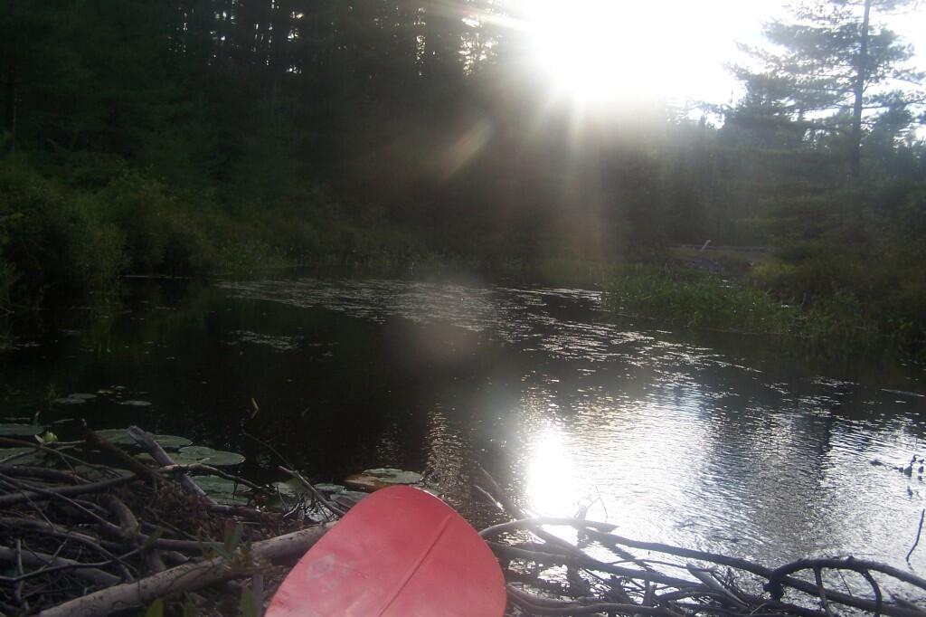 Photo: No Further: Beaver Dam Photo: No Further: Beaver Dam