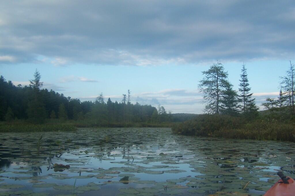 Photo: Jones Pond Outlet Photo: Jones Pond Outlet