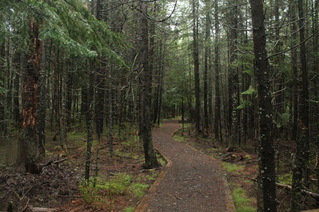 Photo: Another Rainy Day, Heading Down to Helldiver Pond Photo: Another Rainy Day, Heading Down to Helldiver Pond