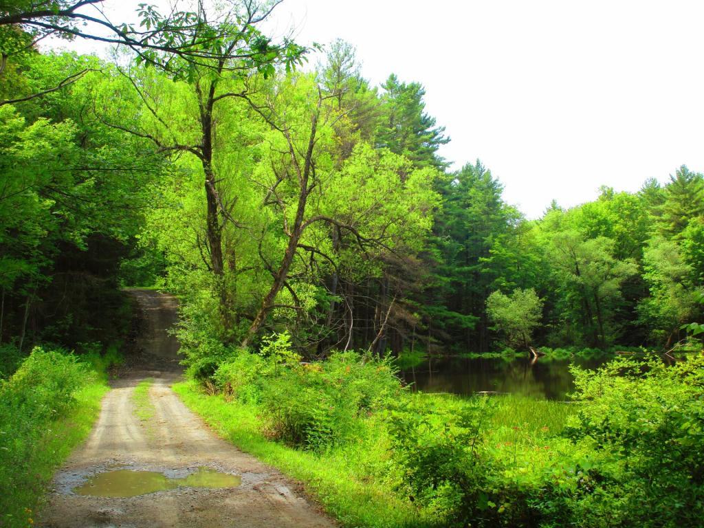 Photo: Connecticut Hill Pond Photo: Connecticut Hill Pond