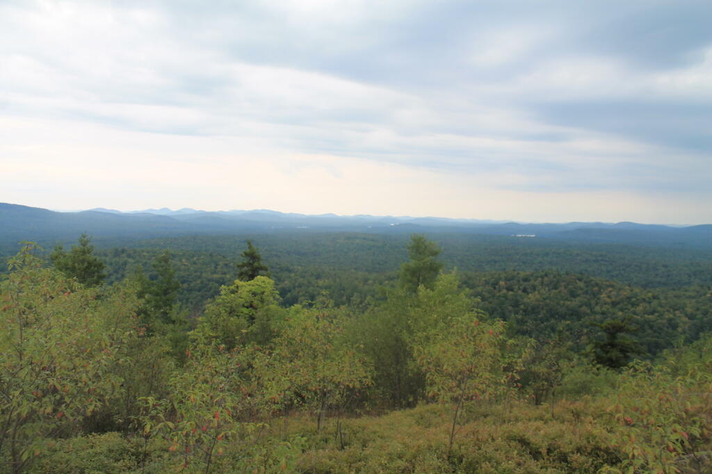 Photo: North East Towards Horseshoe Lake Photo: North East Towards Horseshoe Lake