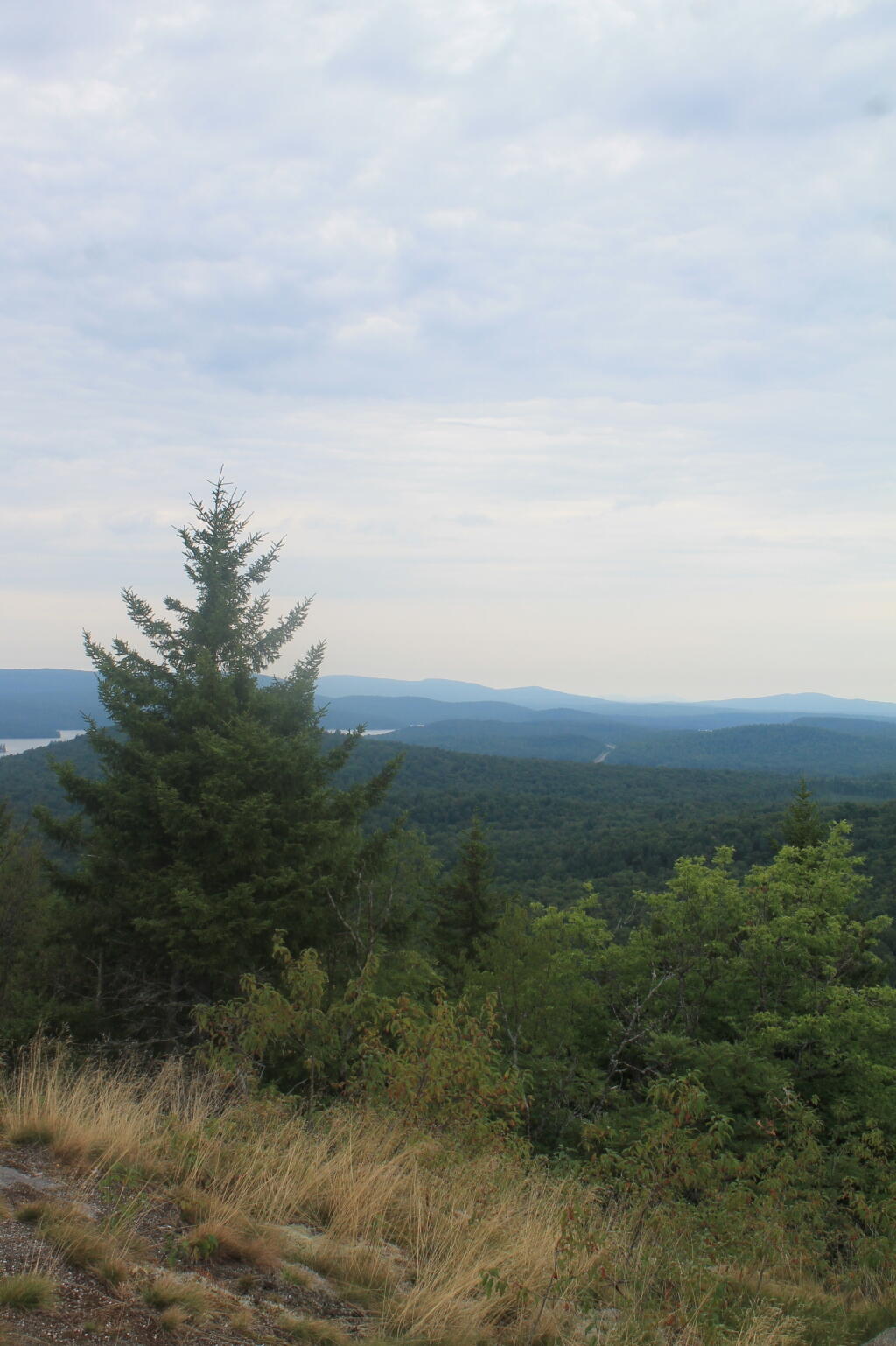 Photo: North Photo: North