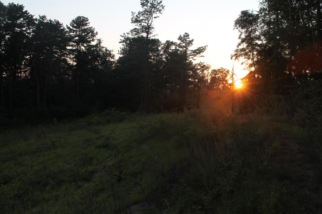 Photo: Setting Sun Photo: Setting Sun