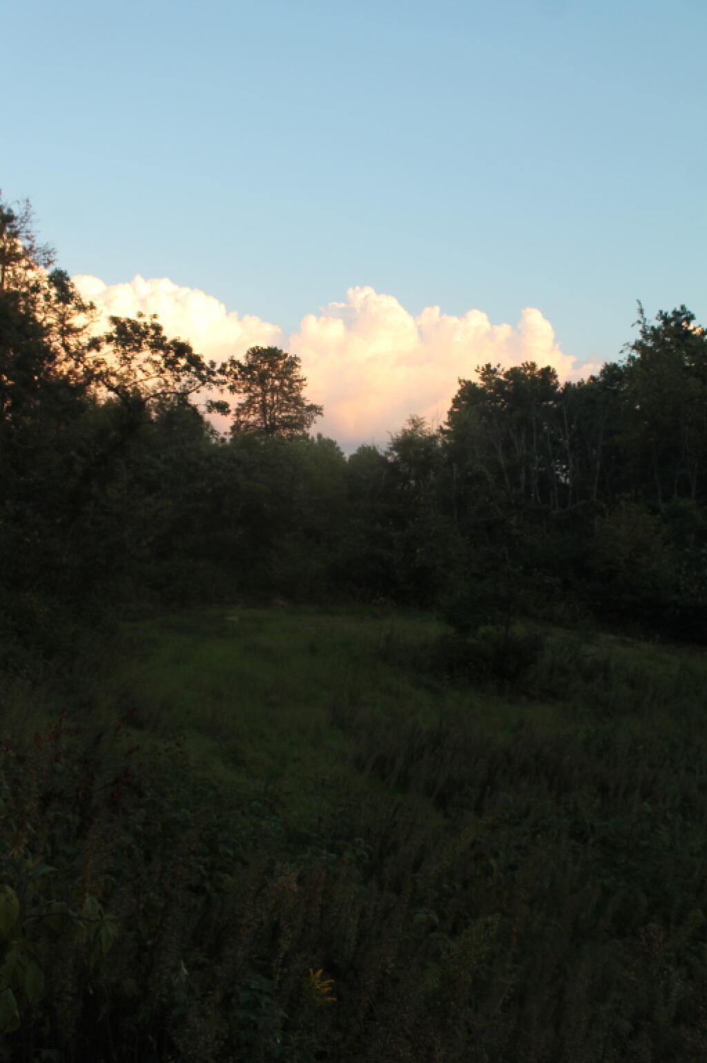 Photo: Clouds Photo: Clouds