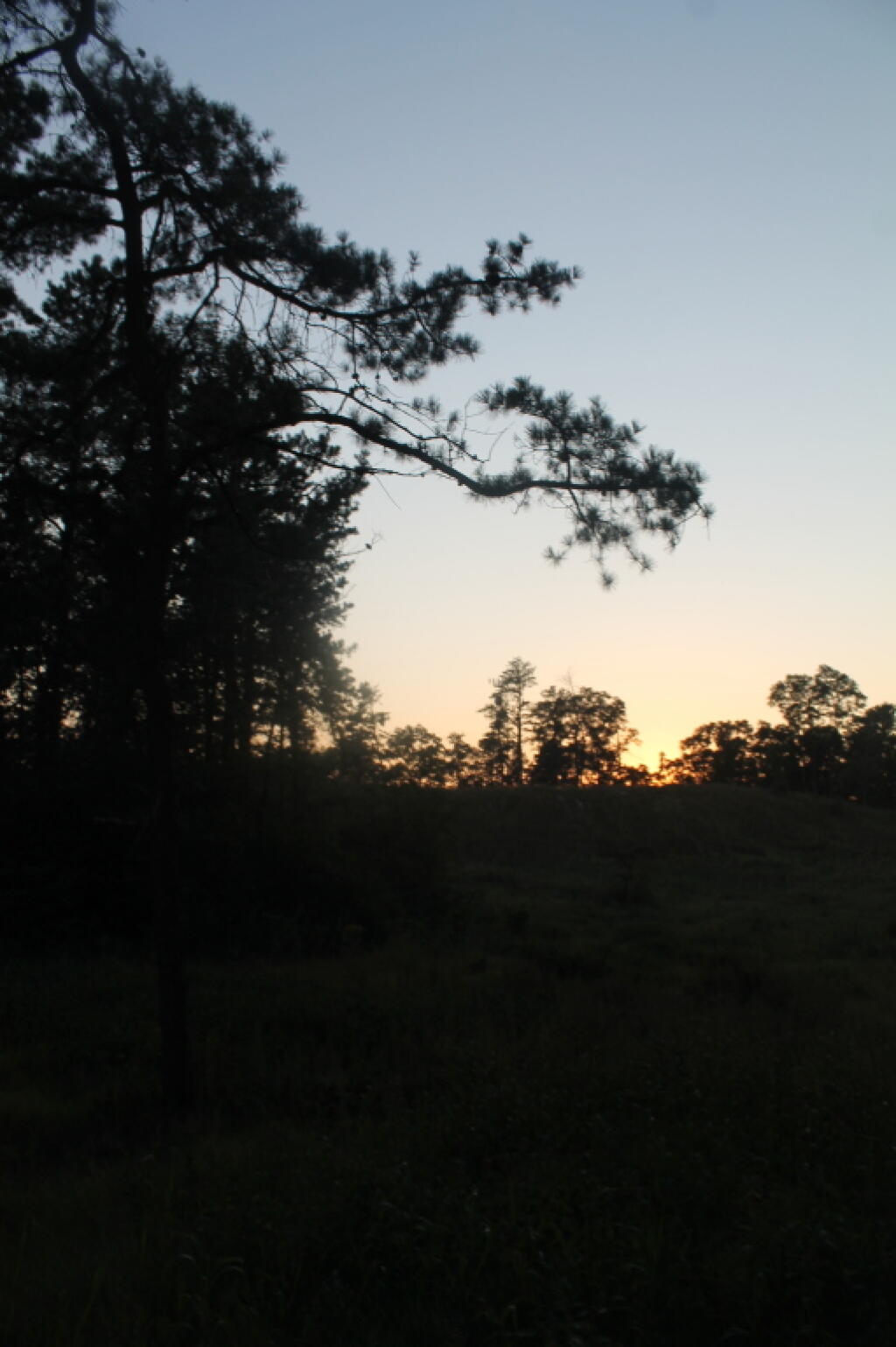 Photo: After Dusk Photo: After Dusk