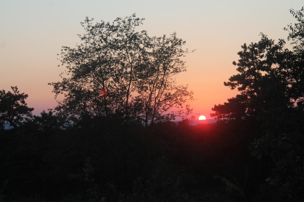 Photo: Blueberry Hill Sunset Photo: Blueberry Hill Sunset