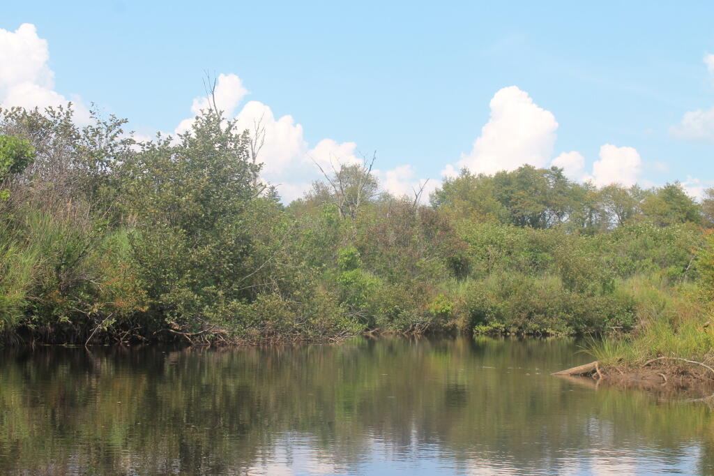 Photo: Almost as Far North as You Can Paddle on East Canada Creek Photo: Almost as Far North as You Can Paddle on East Canada Creek