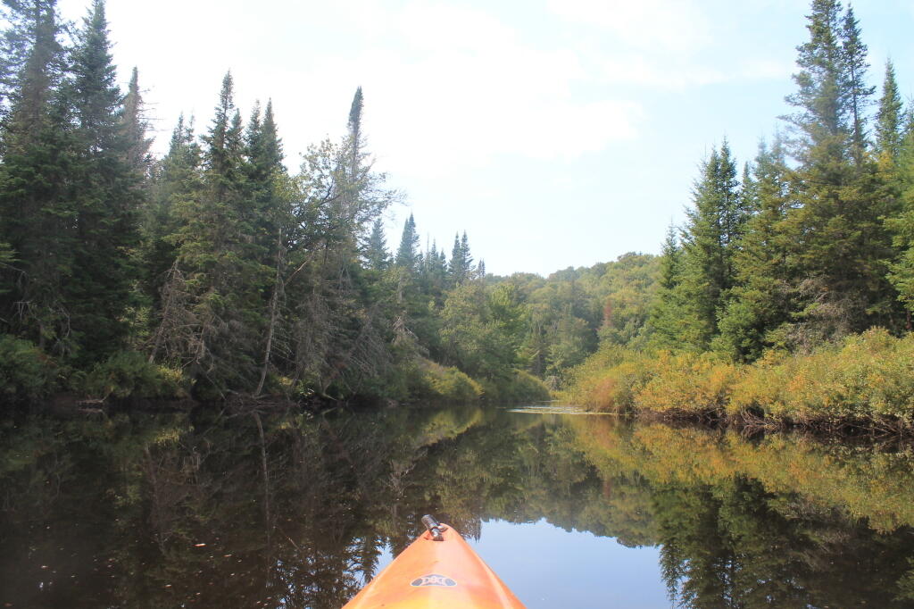 Photo: Around the Next Oxbow Photo: Around the Next Oxbow
