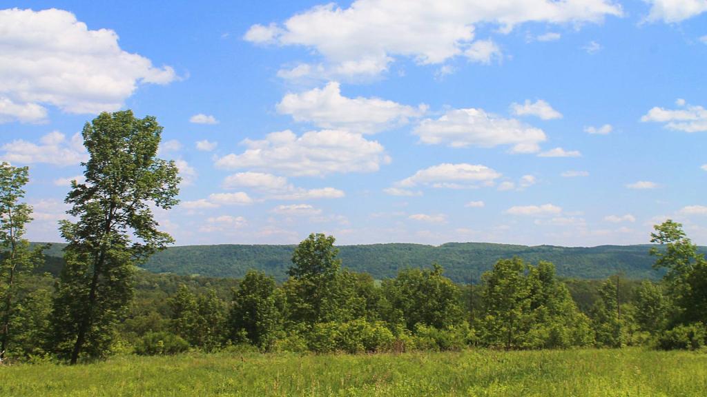 Photo: Shacktown Mountain Photo: Shacktown Mountain