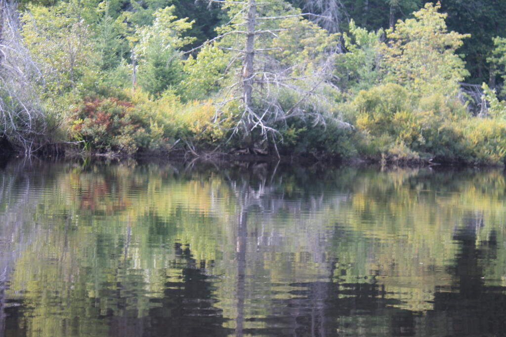 Photo: Reflections Photo: Reflections