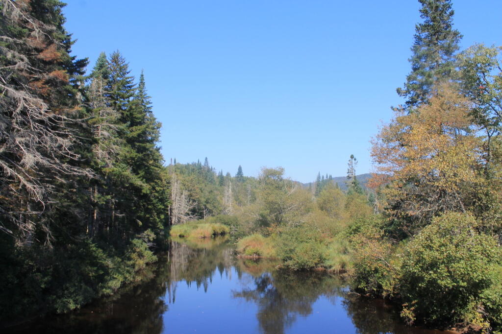 Photo: East Canada Creek from the bridge Photo: East Canada Creek from the bridge
