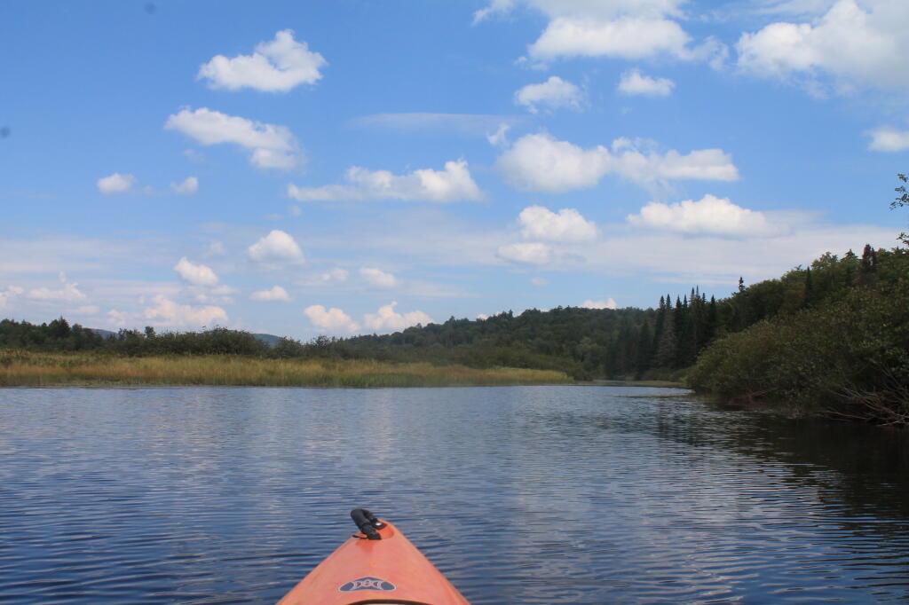 Photo: Blue Skies