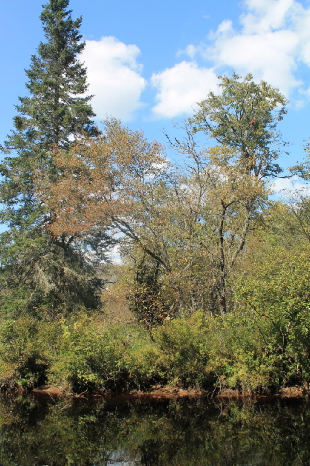 Photo: Hints of Fall ? Photo: Hints of Fall ?