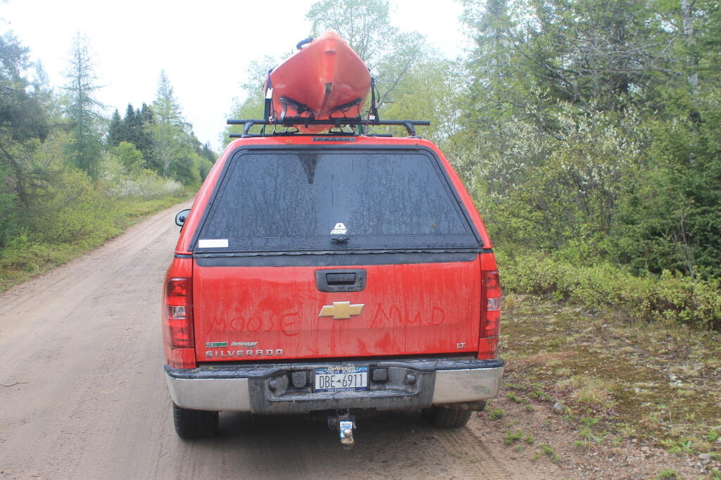 Photo: Moose Mud