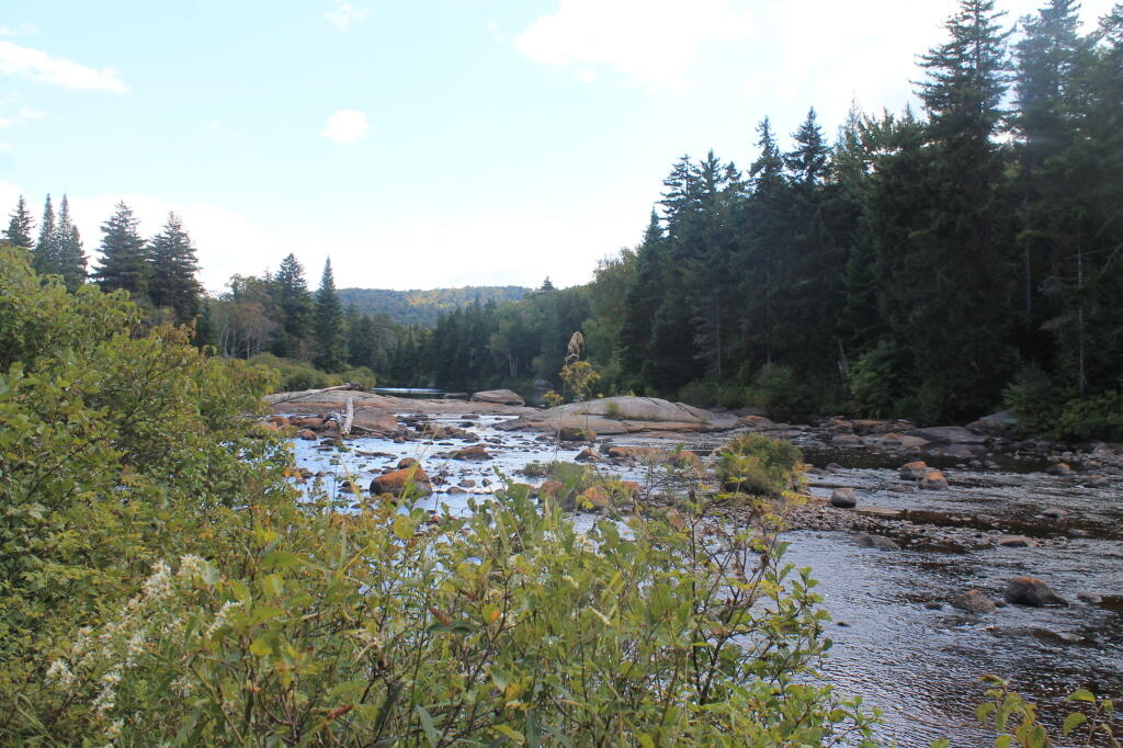 Photo: Untitled Photo: Untitled