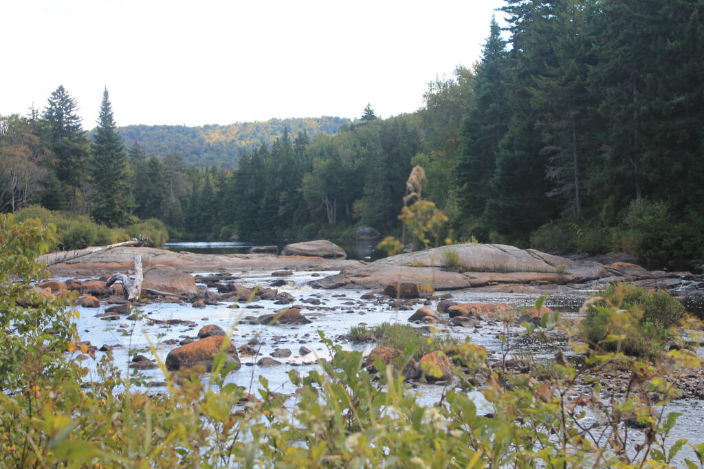 Photo: Untitled Photo: Untitled