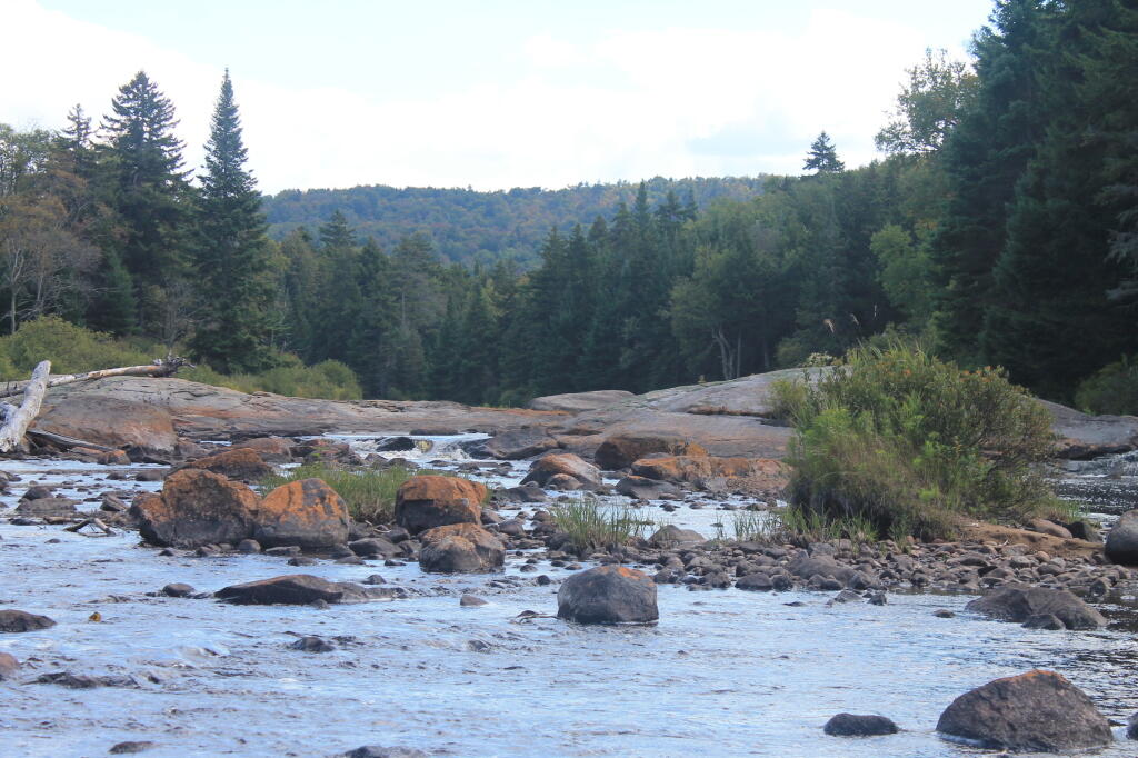 Photo: Untitled Photo: Untitled