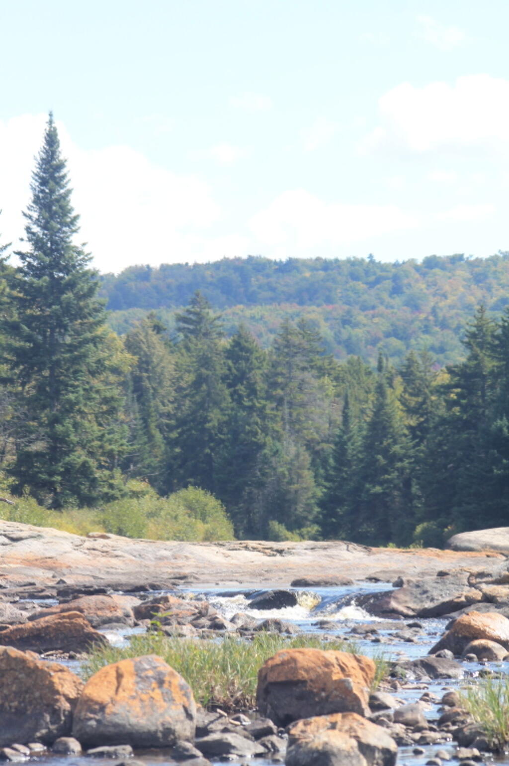Photo: Moose River Photo: Moose River